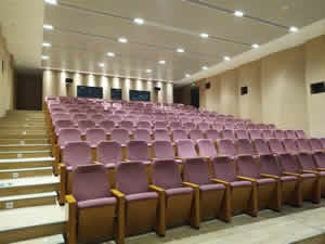 廣州琶洲某知名企業(yè)會議廳禮堂椅定制圖片