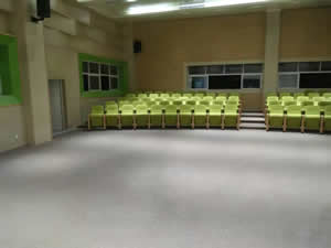 南海區燈湖小學禮堂椅圖片